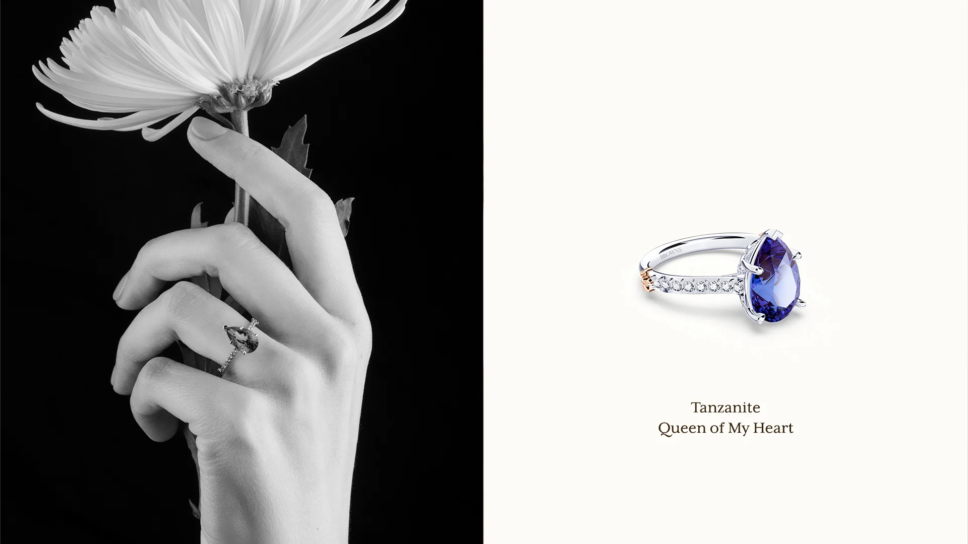 Timeless Brilliance Since 1934